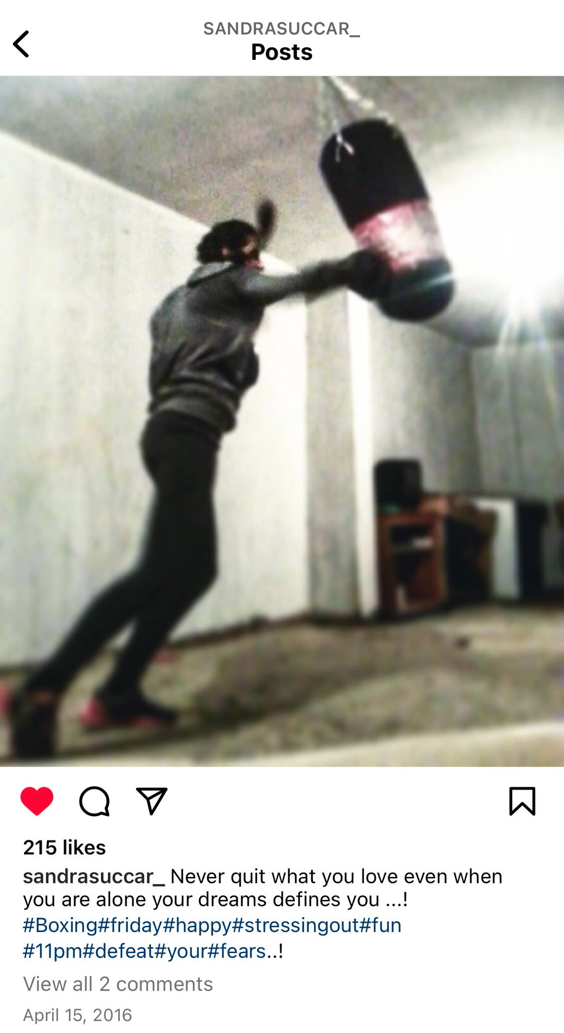 Sandra Succar - Woman's UFC Champion